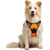 imagerabbitgoo Dog Harness No Pull with 2 Leash Clips Adjustable Soft Padded Reflective Oxford No Choke Pet Vest with Easy Control Handle for Large Dogs Pink LOrange