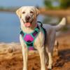 imagerabbitgoo Dog Harness No Pull with 2 Leash Clips Adjustable Soft Padded Reflective Oxford No Choke Pet Vest with Easy Control Handle for Large Dogs Pink LHot Pink  Turquoise