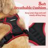 imagerabbitgoo Dog Harness No Pull with 2 Leash Clips Adjustable Soft Padded Reflective Oxford No Choke Pet Vest with Easy Control Handle for Large Dogs Pink LBlack  Red