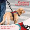 imagerabbitgoo Dog Harness No Pull with 2 Leash Clips Adjustable Soft Padded Reflective Oxford No Choke Pet Vest with Easy Control Handle for Large Dogs Pink LRed  Teal