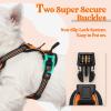 imagerabbitgoo Dog Harness No Pull with 2 Leash Clips Adjustable Soft Padded Reflective Oxford No Choke Pet Vest with Easy Control Handle for Large Dogs Pink LOrange