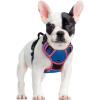 imagerabbitgoo Dog Harness No Pull with 2 Leash Clips Adjustable Soft Padded Reflective Oxford No Choke Pet Vest with Easy Control Handle for Large Dogs Pink LBlue  Hot Pink