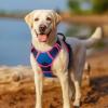 imagerabbitgoo Dog Harness No Pull with 2 Leash Clips Adjustable Soft Padded Reflective Oxford No Choke Pet Vest with Easy Control Handle for Large Dogs Pink LBlue  Hot Pink