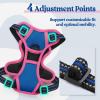 imagerabbitgoo Dog Harness No Pull with 2 Leash Clips Adjustable Soft Padded Reflective Oxford No Choke Pet Vest with Easy Control Handle for Large Dogs Pink LBlue  Hot Pink