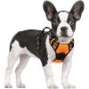 imagerabbitgoo Dog Harness No Pull with 2 Leash Clips Adjustable Soft Padded Reflective Oxford No Choke Pet Vest with Easy Control Handle for Large Dogs Pink LOrange