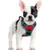 imagerabbitgoo Dog Harness No Pull with 2 Leash Clips Adjustable Soft Padded Reflective Oxford No Choke Pet Vest with Easy Control Handle for Large Dogs Pink LRed  Teal