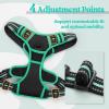 imagerabbitgoo Dog Harness No Pull with 2 Leash Clips Adjustable Soft Padded Reflective Oxford No Choke Pet Vest with Easy Control Handle for Large Dogs Pink LBlack  Turquoise