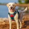 imagerabbitgoo Dog Harness No Pull with 2 Leash Clips Adjustable Soft Padded Reflective Oxford No Choke Pet Vest with Easy Control Handle for Large Dogs Pink LRed  Teal