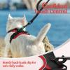 imagerabbitgoo Dog Harness No Pull with 2 Leash Clips Adjustable Soft Padded Reflective Oxford No Choke Pet Vest with Easy Control Handle for Large Dogs Pink LBlack  Red