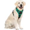 imagerabbitgoo Dog Harness No Pull with 2 Leash Clips Adjustable Soft Padded Reflective Oxford No Choke Pet Vest with Easy Control Handle for Large Dogs Pink LBlack  Turquoise