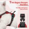 imagerabbitgoo Dog Harness No Pull with 2 Leash Clips Adjustable Soft Padded Reflective Oxford No Choke Pet Vest with Easy Control Handle for Large Dogs Pink LBlack  Red