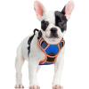 imagerabbitgoo Dog Harness No Pull with 2 Leash Clips Adjustable Soft Padded Reflective Oxford No Choke Pet Vest with Easy Control Handle for Large Dogs Pink LBlue  Orange