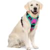 imagerabbitgoo Dog Harness No Pull with 2 Leash Clips Adjustable Soft Padded Reflective Oxford No Choke Pet Vest with Easy Control Handle for Large Dogs Pink LHot Pink  Turquoise