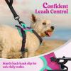 imagerabbitgoo Dog Harness No Pull with 2 Leash Clips Adjustable Soft Padded Reflective Oxford No Choke Pet Vest with Easy Control Handle for Large Dogs Pink LHot Pink  Turquoise