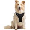imagerabbitgoo Dog Harness No Pull with 2 Leash Clips Adjustable Soft Padded Reflective Oxford No Choke Pet Vest with Easy Control Handle for Large Dogs Pink LBlack