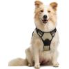 imagerabbitgoo Dog Harness No Pull with 2 Leash Clips Adjustable Soft Padded Reflective Oxford No Choke Pet Vest with Easy Control Handle for Large Dogs Pink LBeige
