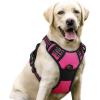 imagerabbitgoo Dog Harness No Pull with 2 Leash Clips Adjustable Soft Padded Reflective Oxford No Choke Pet Vest with Easy Control Handle for Large Dogs Pink LHot Pink