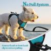 imagerabbitgoo Dog Harness No Pull with 2 Leash Clips Adjustable Soft Padded Reflective Oxford No Choke Pet Vest with Easy Control Handle for Large Dogs Pink LTeal