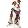 imagerabbitgoo Dog Harness No Pull with 2 Leash Clips Adjustable Soft Padded Reflective Oxford No Choke Pet Vest with Easy Control Handle for Large Dogs Pink LRed  Teal