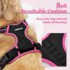 imagerabbitgoo Dog Harness No Pull with 2 Leash Clips Adjustable Soft Padded Reflective Oxford No Choke Pet Vest with Easy Control Handle for Large Dogs Pink LBlack  Hot Pink