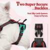 imagerabbitgoo Dog Harness No Pull with 2 Leash Clips Adjustable Soft Padded Reflective Oxford No Choke Pet Vest with Easy Control Handle for Large Dogs Pink LRed