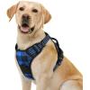 imagerabbitgoo Dog Harness No Pull with 2 Leash Clips Adjustable Soft Padded Reflective Oxford No Choke Pet Vest with Easy Control Handle for Large Dogs Pink LCheckered Blue