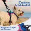 imagerabbitgoo Dog Harness No Pull with 2 Leash Clips Adjustable Soft Padded Reflective Oxford No Choke Pet Vest with Easy Control Handle for Large Dogs Pink LBlue  Hot Pink