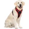 imagerabbitgoo Dog Harness No Pull with 2 Leash Clips Adjustable Soft Padded Reflective Oxford No Choke Pet Vest with Easy Control Handle for Large Dogs Pink LBlack  Red