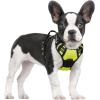 imagerabbitgoo Dog Harness No Pull with 2 Leash Clips Adjustable Soft Padded Reflective Oxford No Choke Pet Vest with Easy Control Handle for Large Dogs Pink LWild Lime