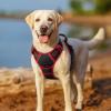 imagerabbitgoo Dog Harness No Pull with 2 Leash Clips Adjustable Soft Padded Reflective Oxford No Choke Pet Vest with Easy Control Handle for Large Dogs Pink LBlack  Red