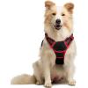 imagerabbitgoo Dog Harness No Pull with 2 Leash Clips Adjustable Soft Padded Reflective Oxford No Choke Pet Vest with Easy Control Handle for Large Dogs Pink LBlack  Red