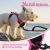 imagerabbitgoo Dog Harness No Pull with 2 Leash Clips Adjustable Soft Padded Reflective Oxford No Choke Pet Vest with Easy Control Handle for Large Dogs Pink LBlack  Hot Pink