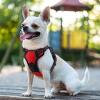 imagerabbitgoo Dog Harness No Pull with 2 Leash Clips Adjustable Soft Padded Reflective Oxford No Choke Pet Vest with Easy Control Handle for Large Dogs Pink LRed