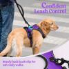 imagerabbitgoo Dog Harness No Pull with 2 Leash Clips Adjustable Soft Padded Reflective Oxford No Choke Pet Vest with Easy Control Handle for Large Dogs Pink LPurple