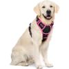 imagerabbitgoo Dog Harness No Pull with 2 Leash Clips Adjustable Soft Padded Reflective Oxford No Choke Pet Vest with Easy Control Handle for Large Dogs Pink LBlack  Hot Pink