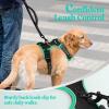 imagerabbitgoo Dog Harness No Pull with 2 Leash Clips Adjustable Soft Padded Reflective Oxford No Choke Pet Vest with Easy Control Handle for Large Dogs Pink LBlack  Turquoise