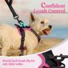 imagerabbitgoo Dog Harness No Pull with 2 Leash Clips Adjustable Soft Padded Reflective Oxford No Choke Pet Vest with Easy Control Handle for Large Dogs Pink LBlack  Hot Pink