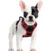 imagerabbitgoo Dog Harness No Pull with 2 Leash Clips Adjustable Soft Padded Reflective Oxford No Choke Pet Vest with Easy Control Handle for Large Dogs Pink LBlack  Red