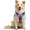 imagerabbitgoo Dog Harness No Pull with 2 Leash Clips Adjustable Soft Padded Reflective Oxford No Choke Pet Vest with Easy Control Handle for Large Dogs Pink LHot Pink  Turquoise