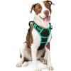imagerabbitgoo Dog Harness No Pull with 2 Leash Clips Adjustable Soft Padded Reflective Oxford No Choke Pet Vest with Easy Control Handle for Large Dogs Pink LBlack  Turquoise