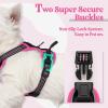 imagerabbitgoo Dog Harness No Pull with 2 Leash Clips Adjustable Soft Padded Reflective Oxford No Choke Pet Vest with Easy Control Handle for Large Dogs Pink LBlack  Hot Pink