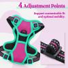 imagerabbitgoo Dog Harness No Pull with 2 Leash Clips Adjustable Soft Padded Reflective Oxford No Choke Pet Vest with Easy Control Handle for Large Dogs Pink LHot Pink  Turquoise