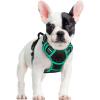 imagerabbitgoo Dog Harness No Pull with 2 Leash Clips Adjustable Soft Padded Reflective Oxford No Choke Pet Vest with Easy Control Handle for Large Dogs Pink LBlack  Turquoise