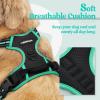 imagerabbitgoo Dog Harness No Pull with 2 Leash Clips Adjustable Soft Padded Reflective Oxford No Choke Pet Vest with Easy Control Handle for Large Dogs Pink LBlack  Turquoise