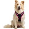 imagerabbitgoo Dog Harness No Pull with 2 Leash Clips Adjustable Soft Padded Reflective Oxford No Choke Pet Vest with Easy Control Handle for Large Dogs Pink LBlack  Hot Pink