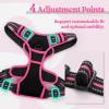 imagerabbitgoo Dog Harness No Pull with 2 Leash Clips Adjustable Soft Padded Reflective Oxford No Choke Pet Vest with Easy Control Handle for Large Dogs Pink LBlack  Hot Pink