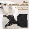imagerabbitgoo Dog Harness No Pull with 2 Leash Clips Adjustable Soft Padded Reflective Oxford No Choke Pet Vest with Easy Control Handle for Large Dogs Pink LBlack