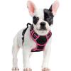 imagerabbitgoo Dog Harness No Pull with 2 Leash Clips Adjustable Soft Padded Reflective Oxford No Choke Pet Vest with Easy Control Handle for Large Dogs Pink LBlack  Hot Pink