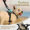imagerabbitgoo Dog Harness No Pull with 2 Leash Clips Adjustable Soft Padded Reflective Oxford No Choke Pet Vest with Easy Control Handle for Large Dogs Pink LBeige