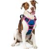 imagerabbitgoo Dog Harness No Pull with 2 Leash Clips Adjustable Soft Padded Reflective Oxford No Choke Pet Vest with Easy Control Handle for Large Dogs Pink LBlue  Hot Pink